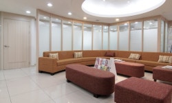 노박젠틀브이의원