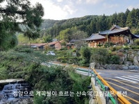 숲향펜션