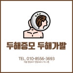 두해증모 두해가발