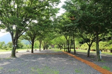 비발디캠핑파크 설악오색점