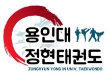 용인대정현태권도장