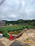 외할머니민박