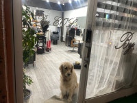 이오엘헤어