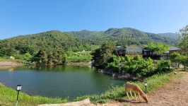 번덕뜰 펜션 민박