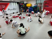 더큰태권도장