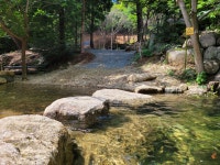 더 숲 펜션