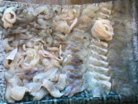 기분좋은날대게회펜션