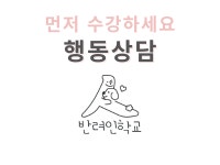 반려인학교