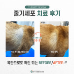 온누리동물의료센터