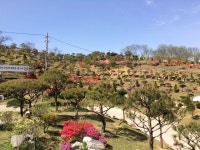 정안수목장