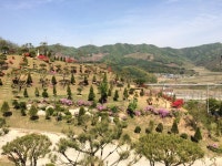정안수목장