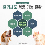 온누리동물의료센터