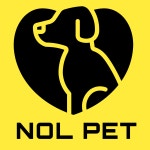 놀펫강아지유치원애견호텔서울애견유치원 성북본원