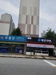 젊은어부