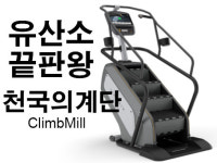 골드짐