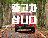 내차모터스 자동차수출