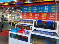 싱싱회수산시장 정발산점