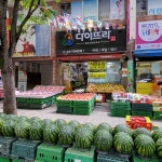 다이뜨라 장기점