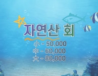 막썰어횟집