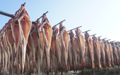 코다리와능이버섯 미사