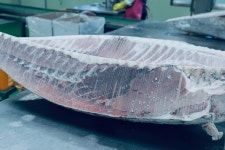 여원참치직판장