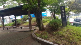은빛공원