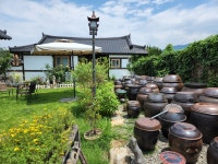 매화나무집민박