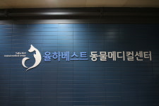 율하베스트동물메디컬센터