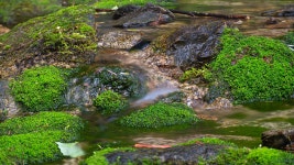 슐라프라움풀빌라