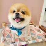 이쁘다 멍