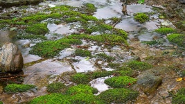 슐라프라움풀빌라