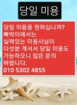 빠박이애견미용