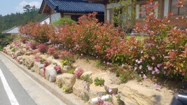 약산임목수 한옥펜션민박