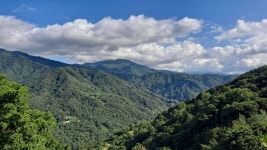 견불동산장