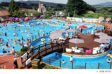 원더풀도그베이