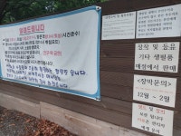 산내별빛오토캠핑장