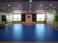 대명태권도