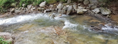 은하수 관광농원