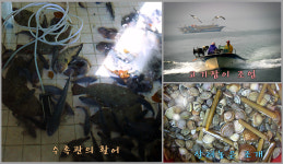 시몬펜션