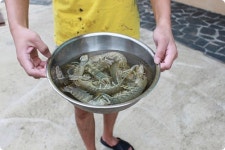 선재 바다펜션
