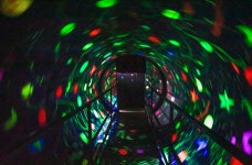 이상한나라의 앨리스