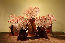 세계조가비박물관