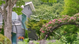 초록수채화펜션