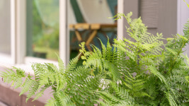 초록수채화펜션