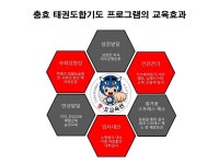충효태권도한들물빛관