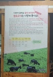 대산염소마루