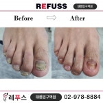 레푸스 태릉입구역점