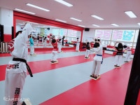 경희대 비트짐 태권도