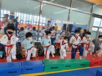 정관국가대표 독수리태권도