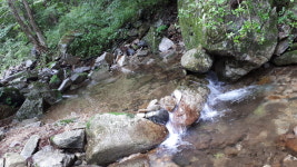 비동스테이민박